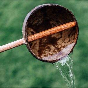Q Toys Coconut Water Scoop
