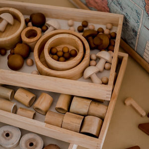 Qtoys Stacking Bowls with Qtoys Mushrooms & Qtoy Balls