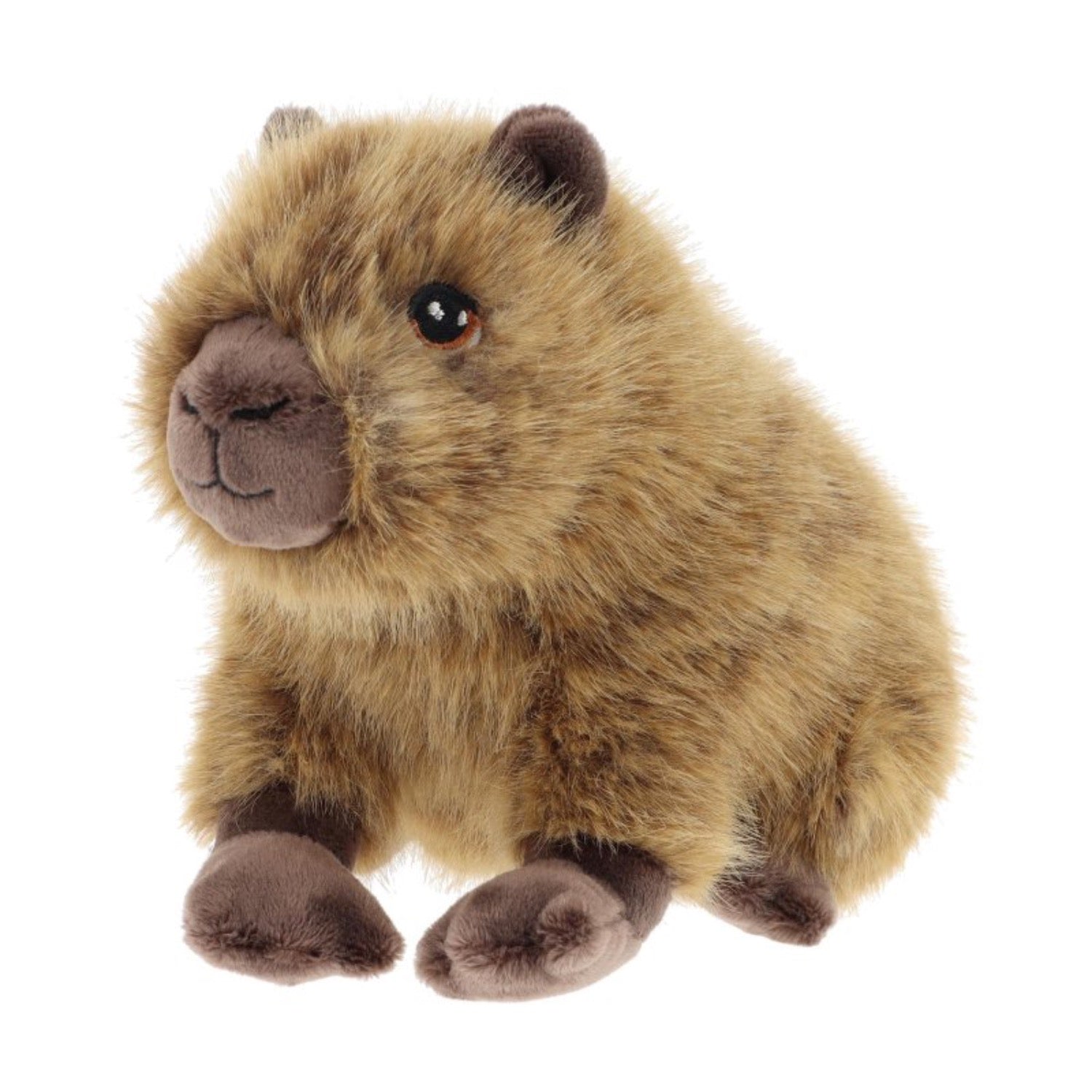 Capybara