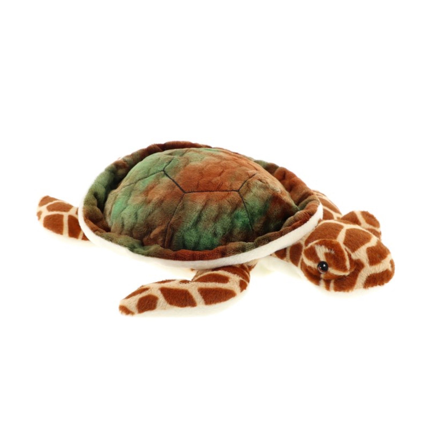 Sea Turtle