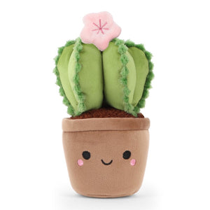 Botanical Garden Cactus 14cm