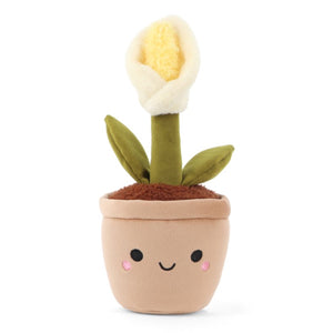 Botanical Garden Snow Drop 14cm