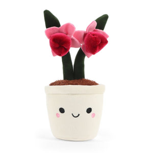 Botanical Garden Tulip 14cm