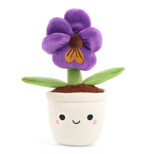 Botanical Garden Pansy