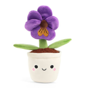 Botanical Garden Pansy 14cm