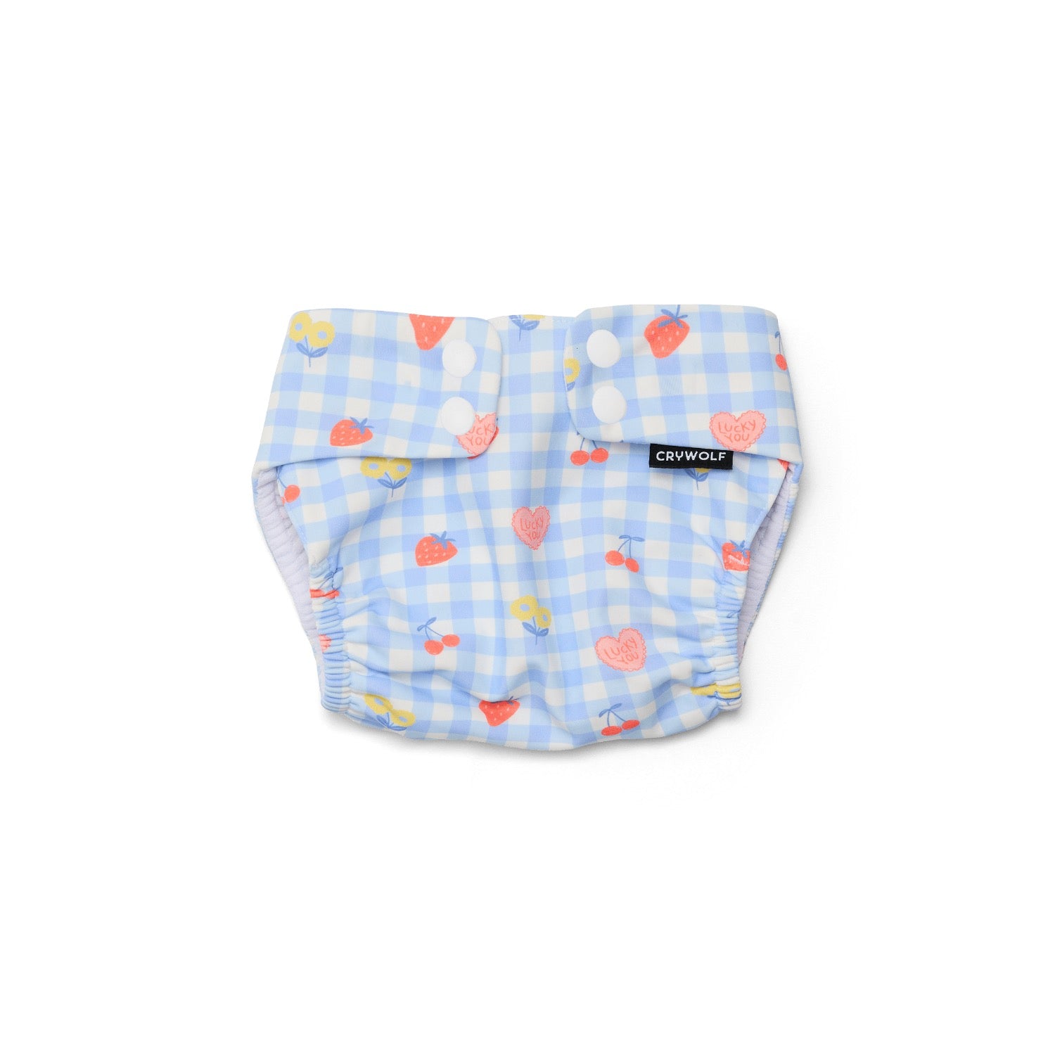 Baby swim nappy diaper with  blue check and heart pattern on a white background