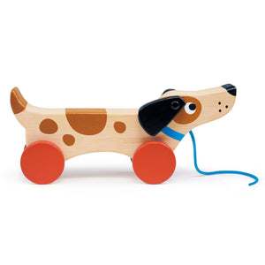 Mentari Puppy On Wheels