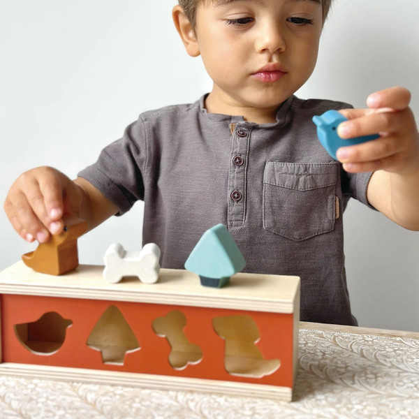 Pet Shape Sorting Box - Monkey Kids