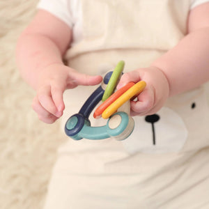 Bio Triangle Rattle