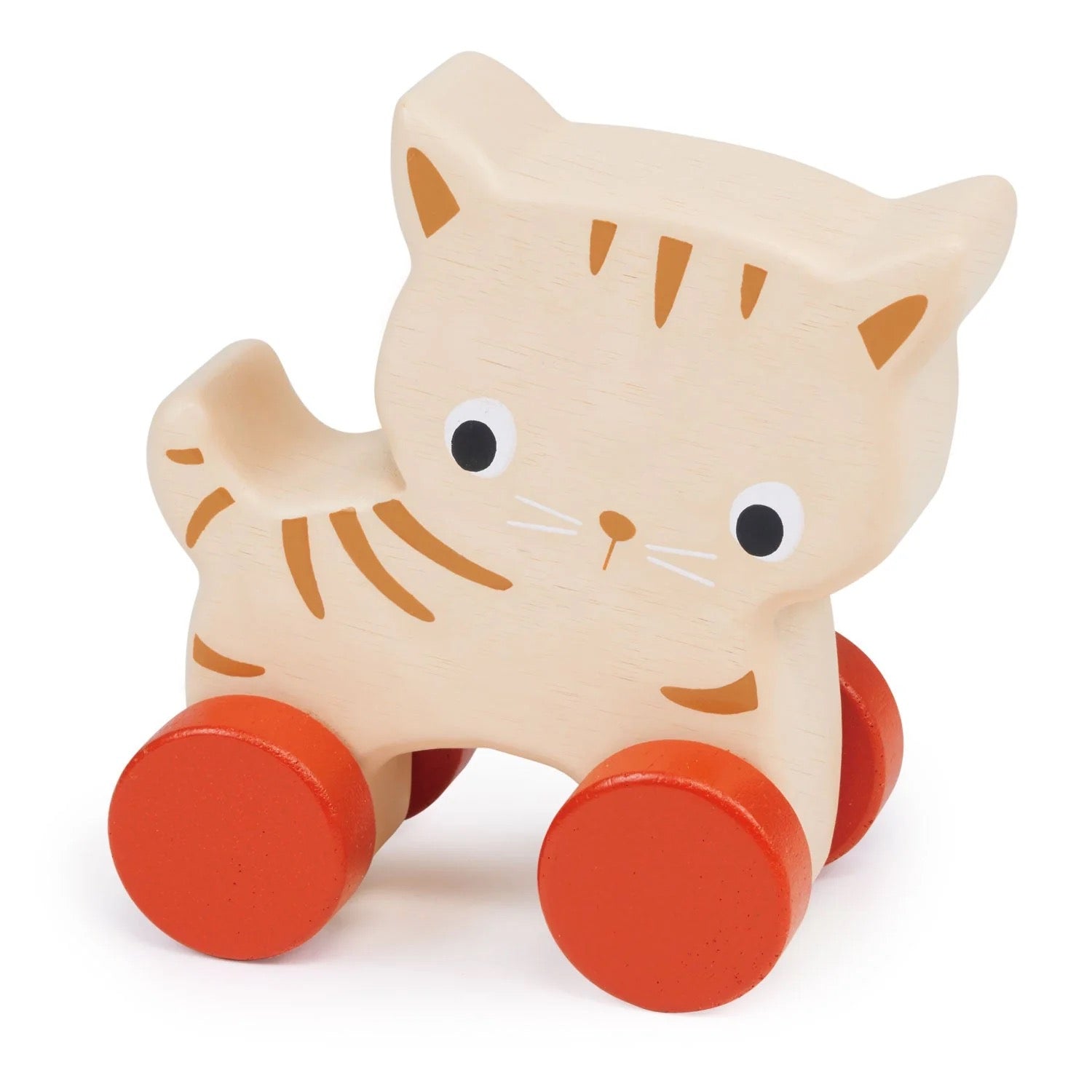 Mentari Kitten On Wheels