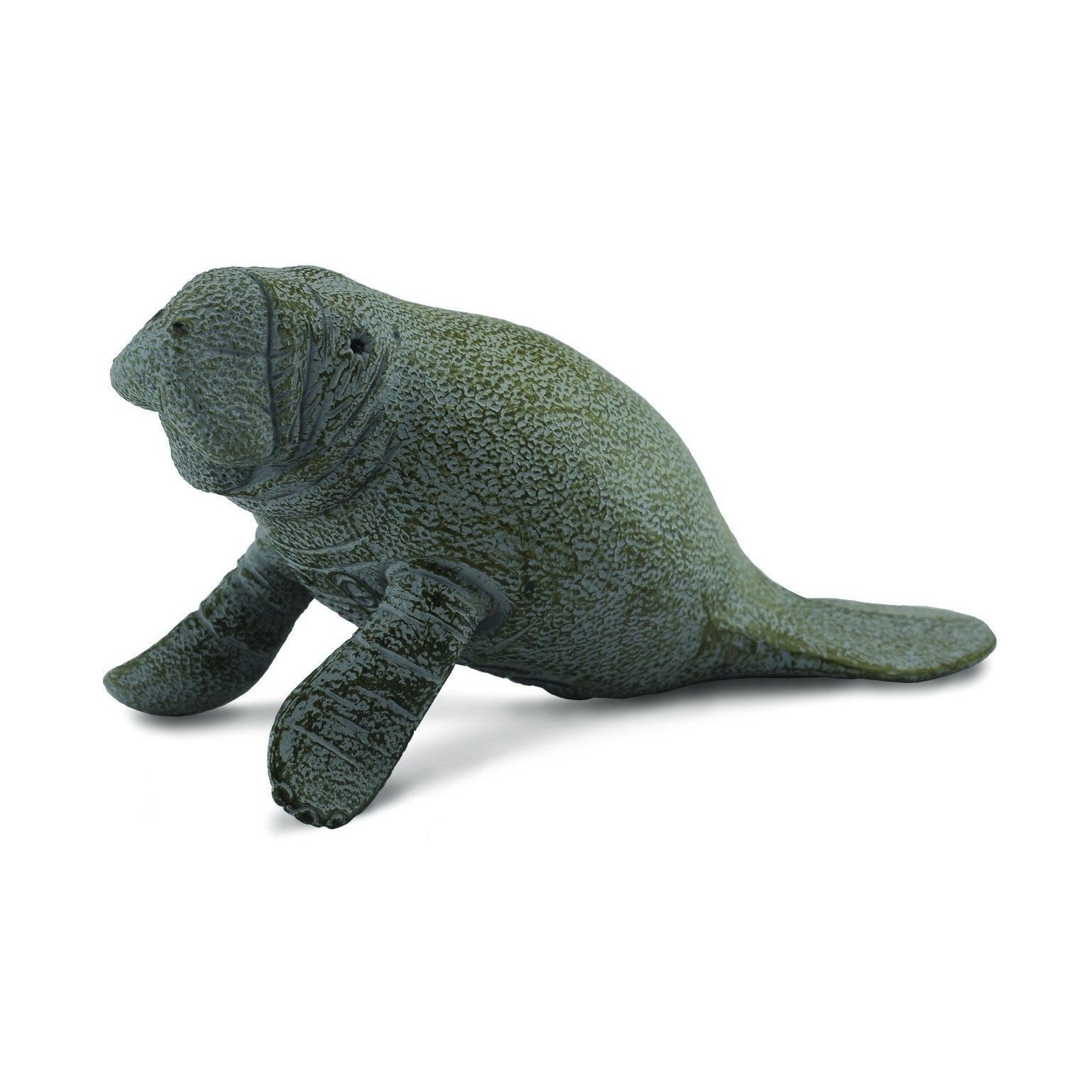 CollectA Manatee Calf Swimming Medium