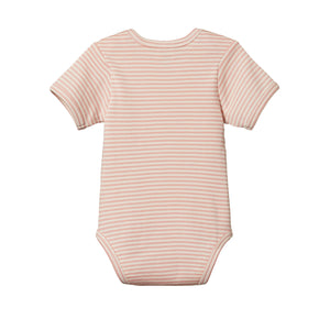 Nature Baby Bodysuit Short Sleeve - Lily Stripe