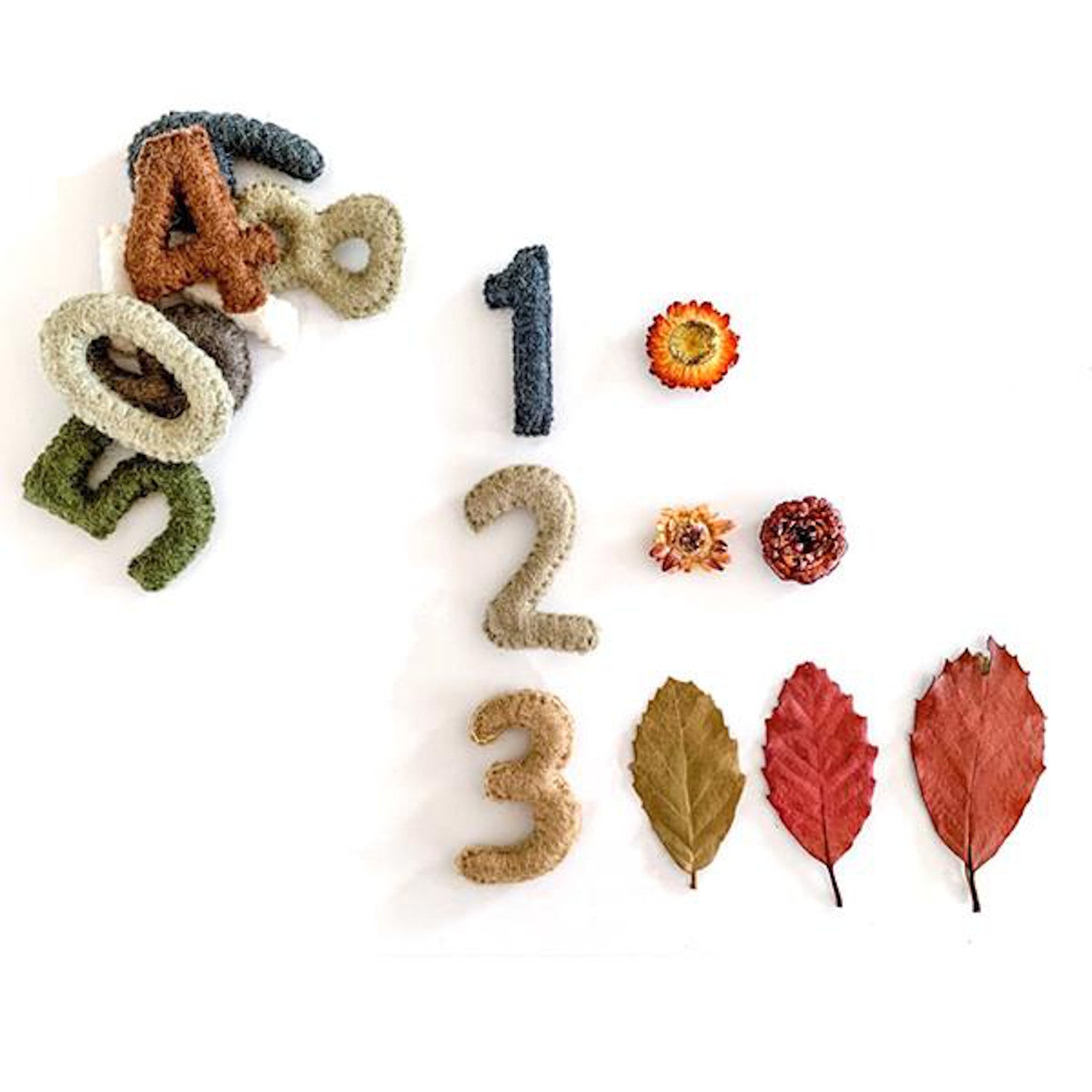 Papoose Felt Number Set