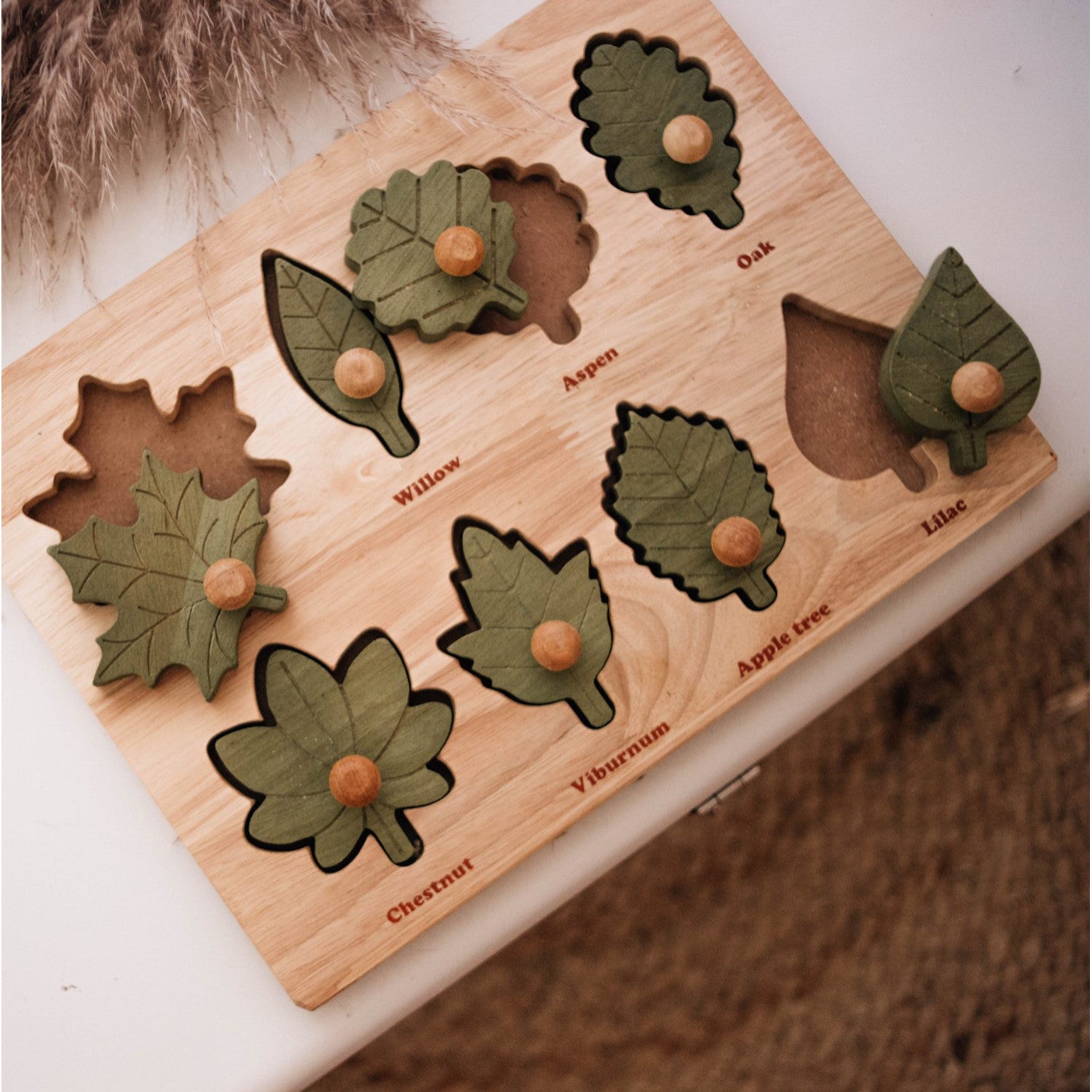 Qtoys Montessori Leaf Puzzle